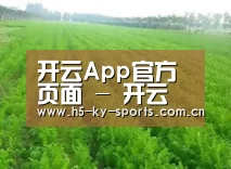 种植基地四